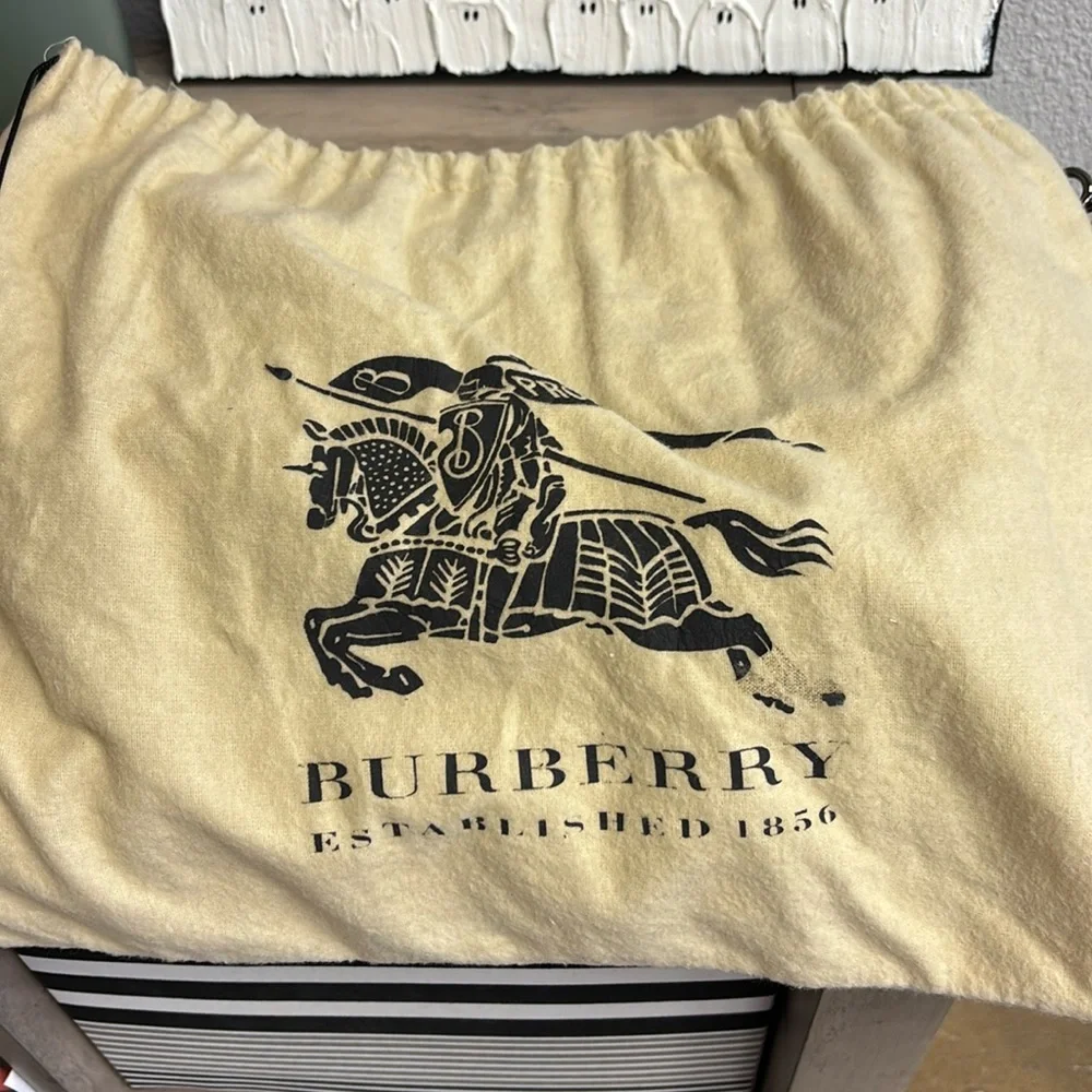 Burberry RARE python shoulder bag - Picture 13 of 14